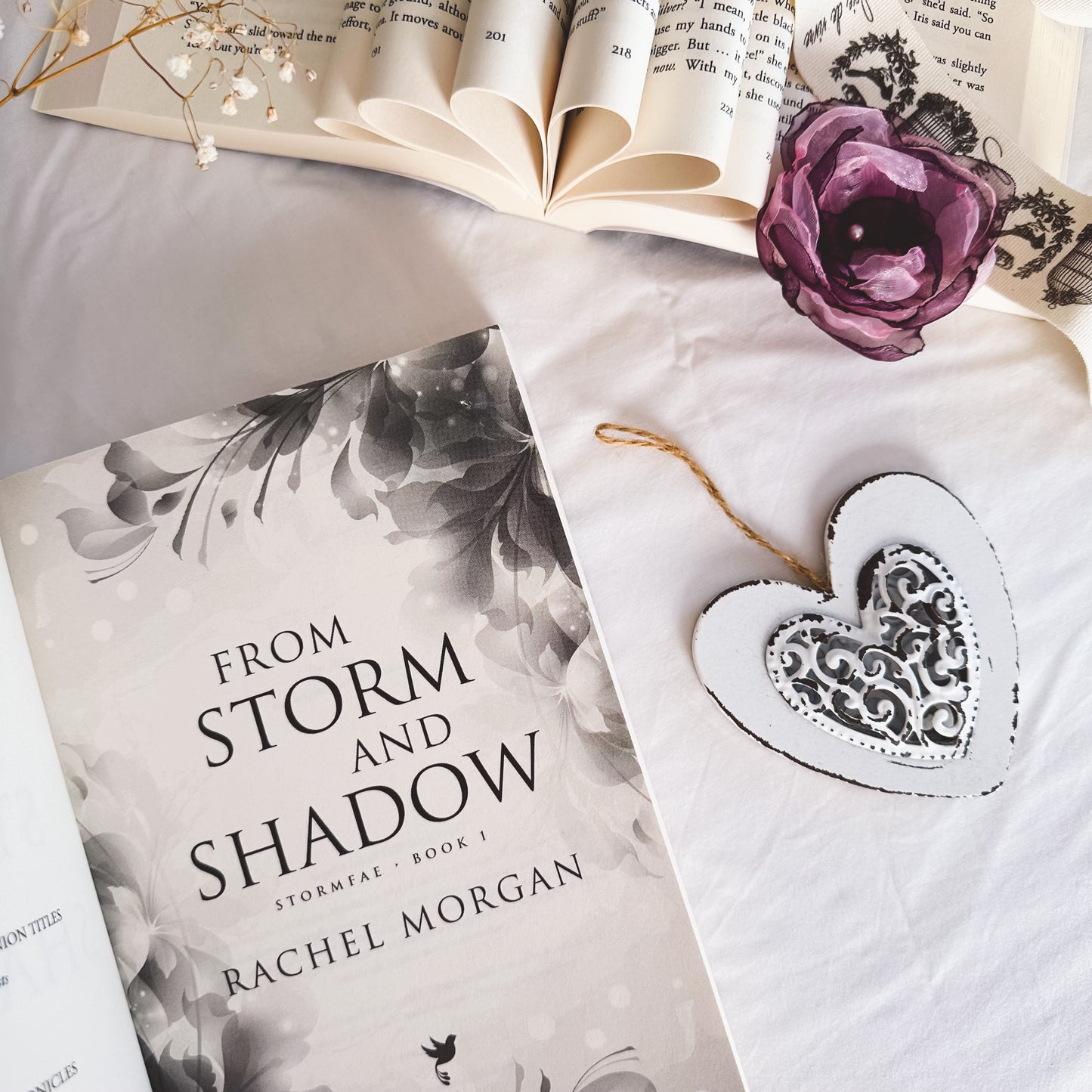 From Storm and Shadow