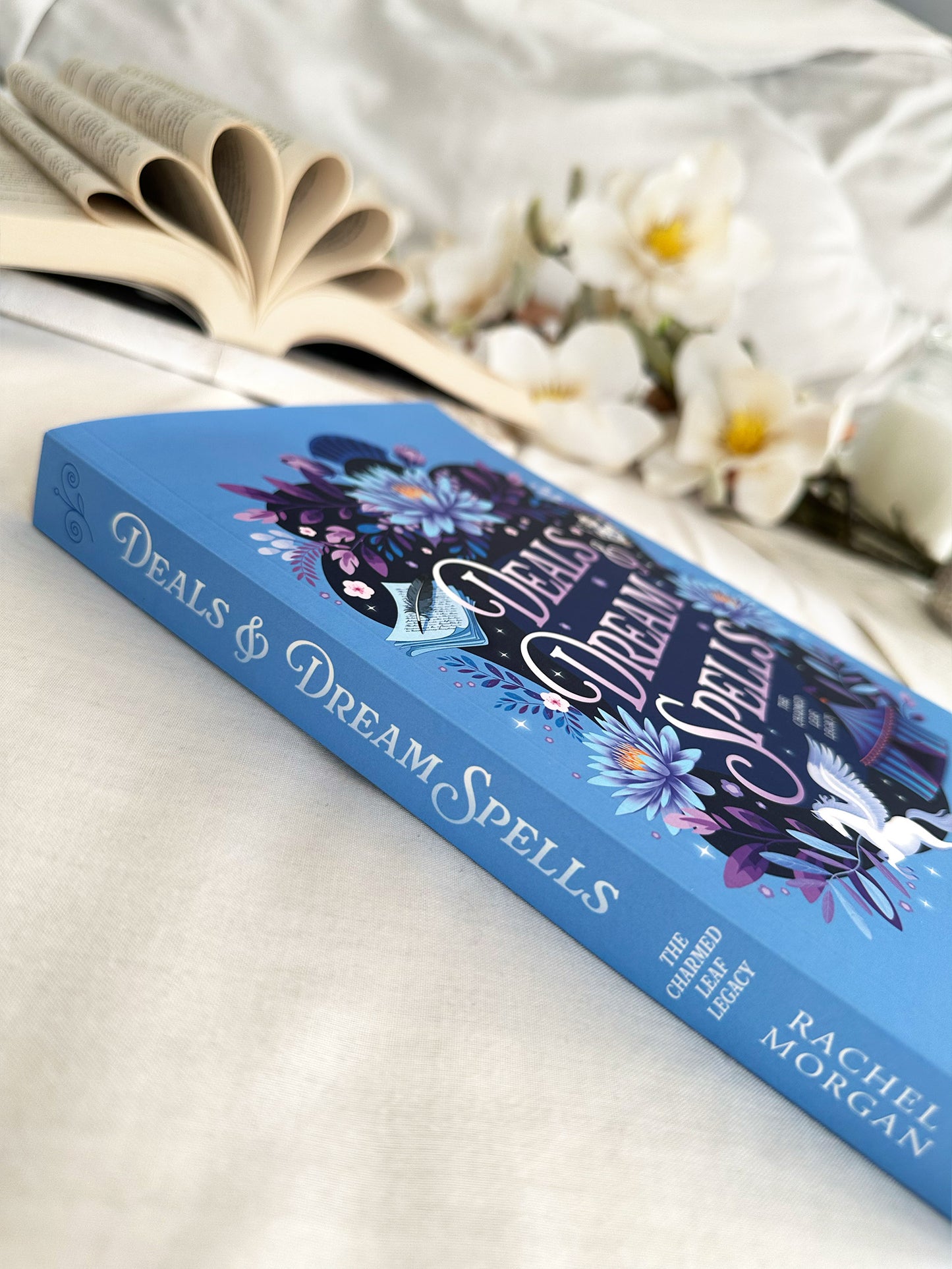 Standard Paperback - DEALS & DREAM SPELLS