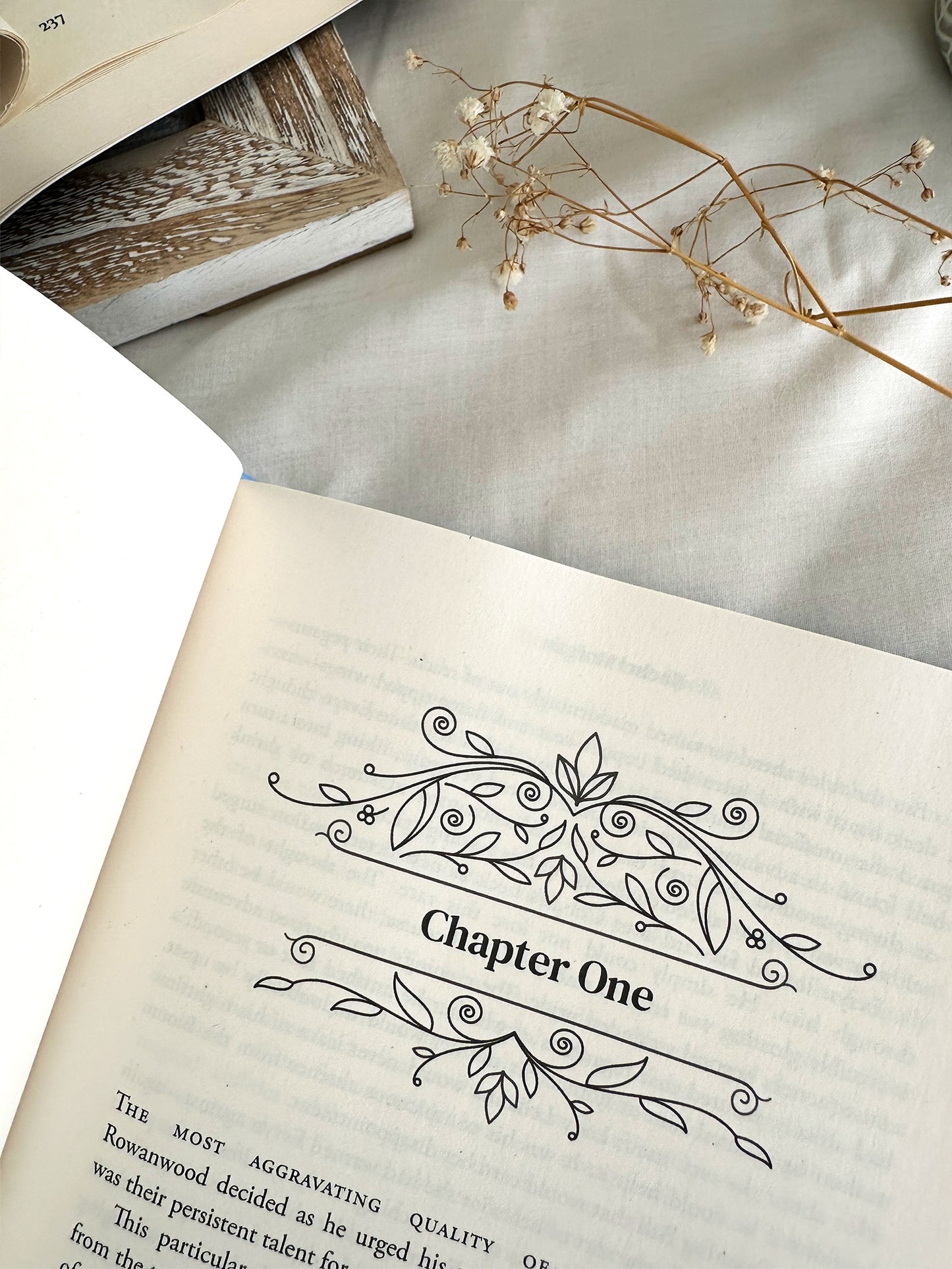 Standard Paperback - DEALS & DREAM SPELLS