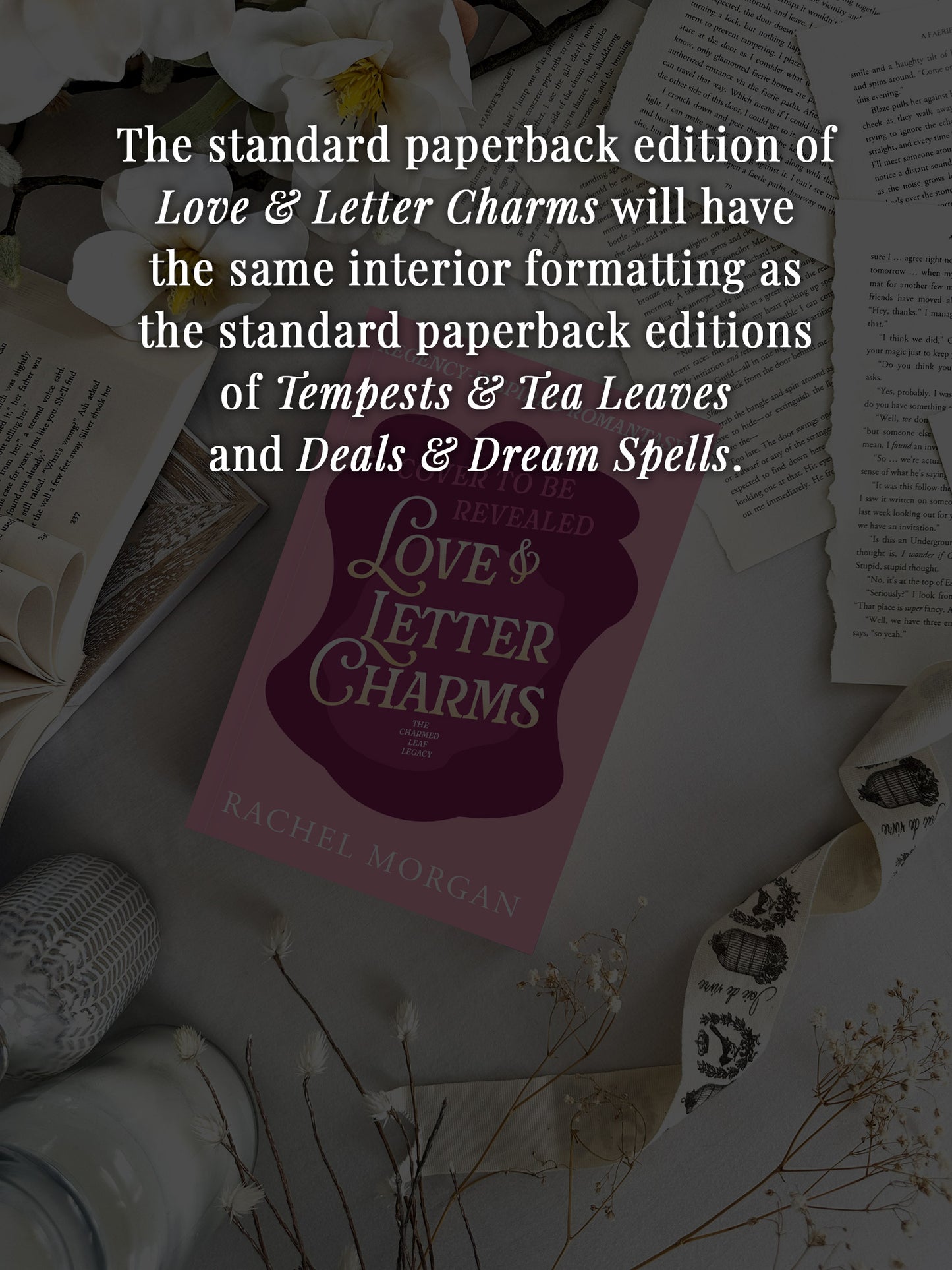 Standard Paperback - LOVE & LETTER CHARMS